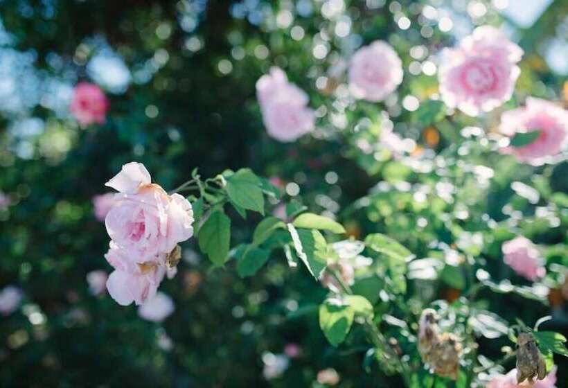 Casa Rural El Patio De Tita