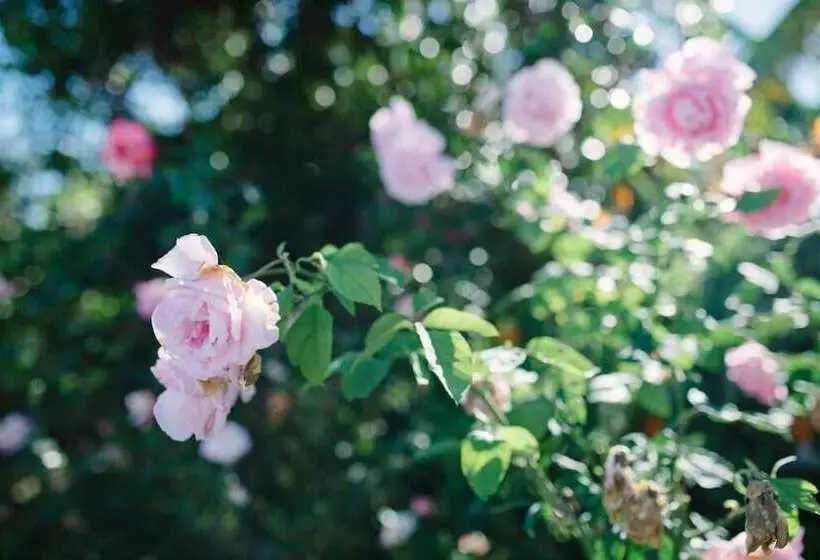Casa Rural El Patio De Tita