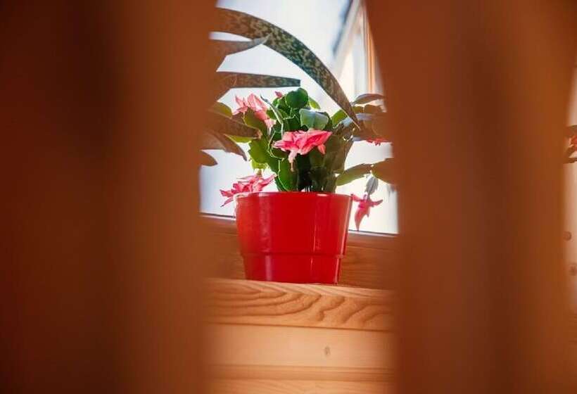 בית מלון כפרי Chata Pod Jemiołą