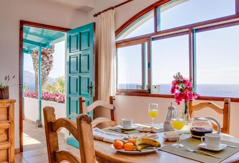 ホテル Los Cancajos