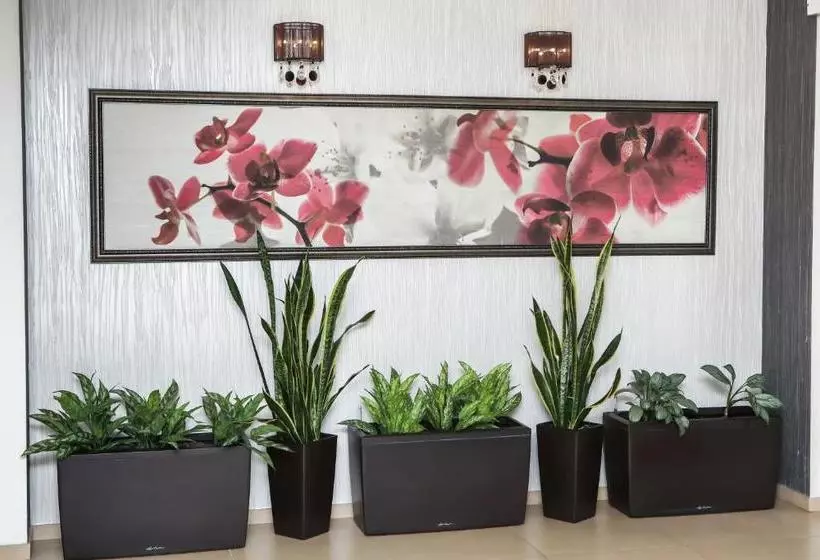 هتل Oasis