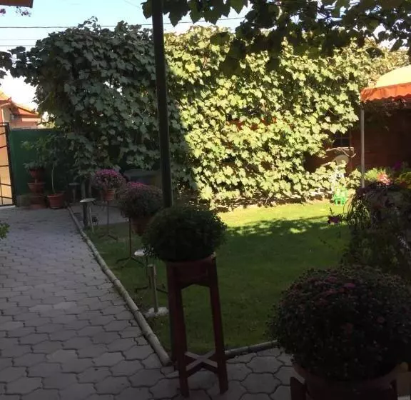 호텔 Pensiunea Kristine Sibiu