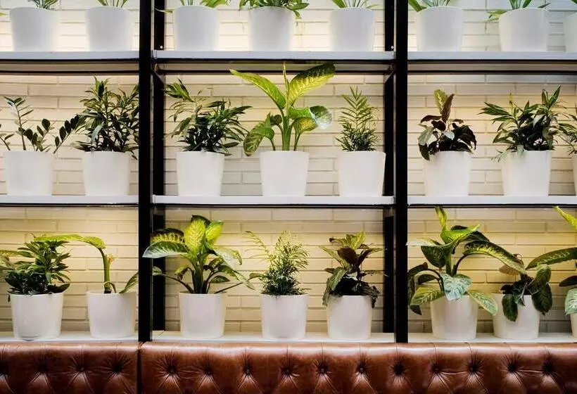 ホテル Praktik Bakery