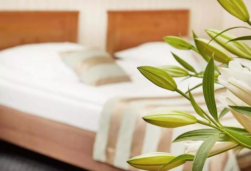 Отель Rezydencja Solei Old Town