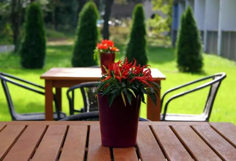 Obiekt Hotelarski Patron