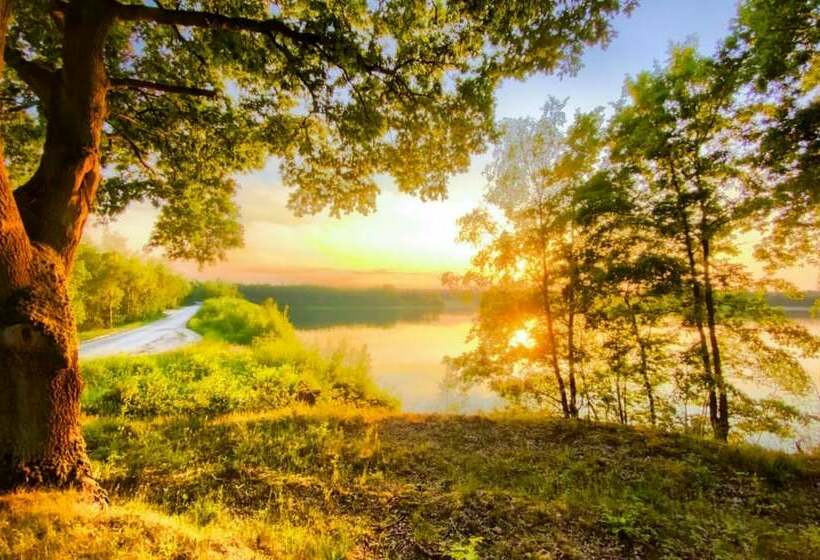 5 Meter Bell Tent Up To 5 Persons Glamping