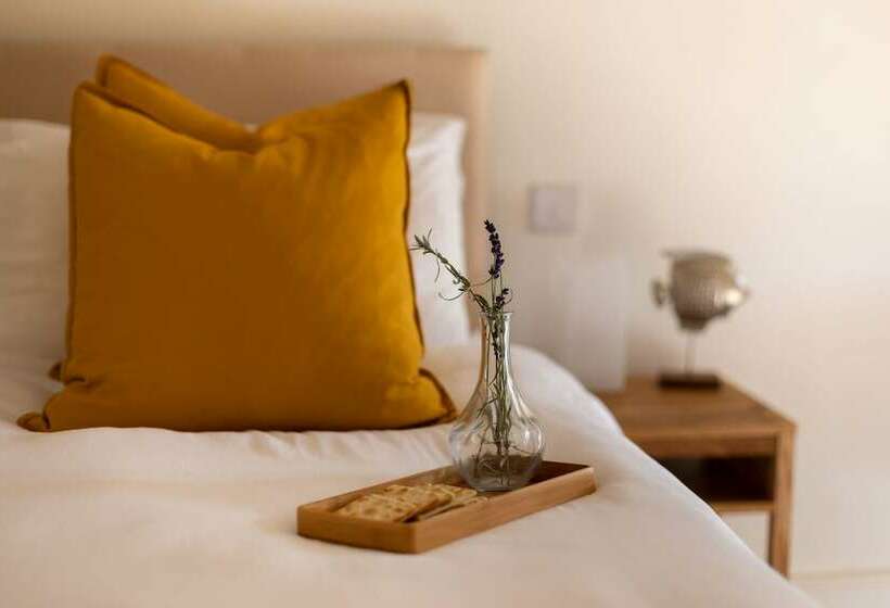 Lomakeskus The Manor At Bratton Clovelly