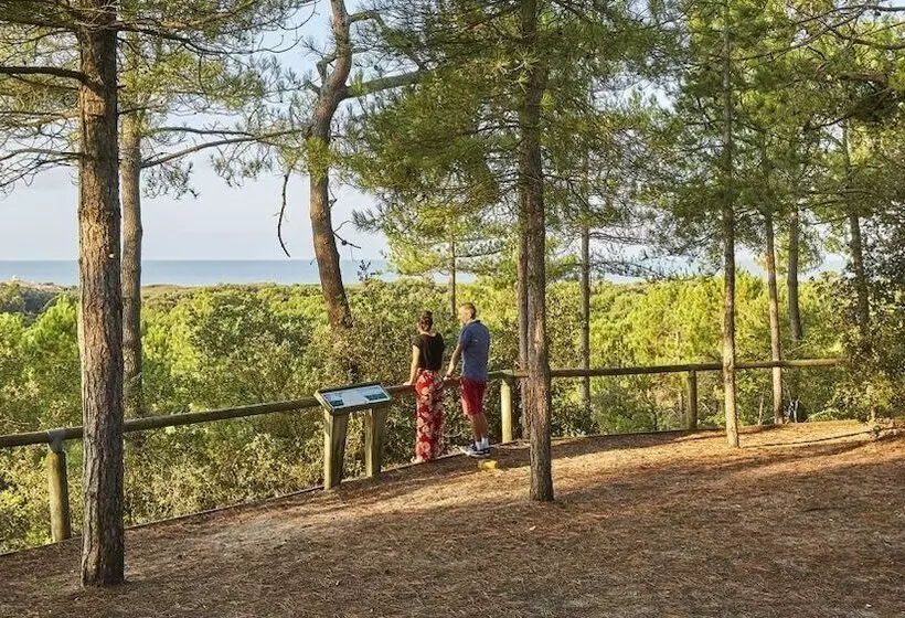 Majatalo Cale 32   Chambres D Hôtes