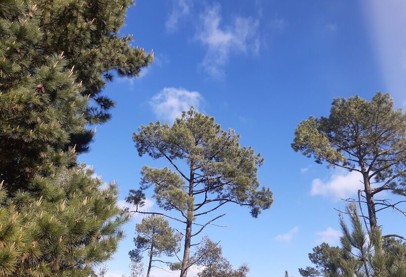 膳宿费 Cale 32 Chambres D Hôtes