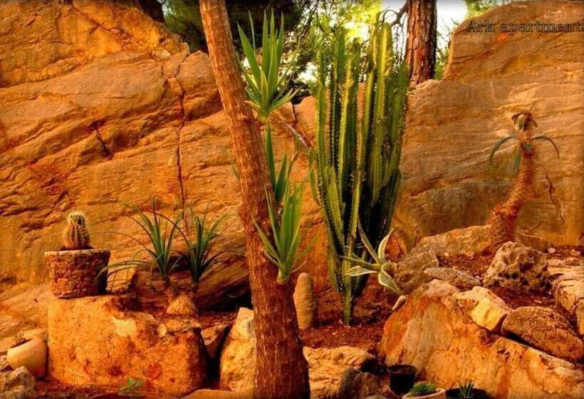 پانسیون Room In Guest Room Comfy Apartments Next To The Beach