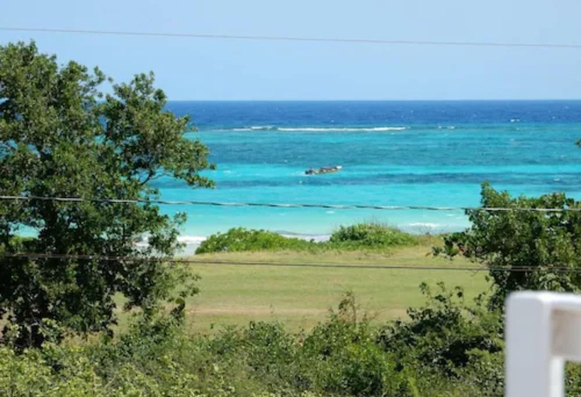 پانسیون Coral Turtle