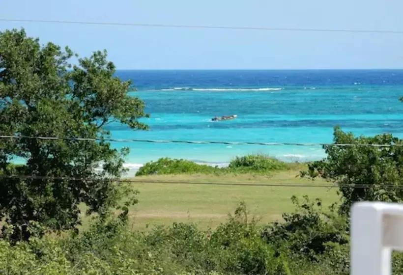 پانسیون Coral Turtle