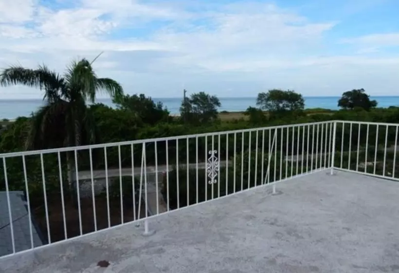 پانسیون Coral Turtle