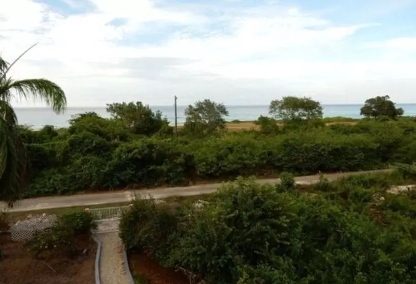 پانسیون Coral Turtle