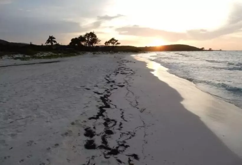 پانسیون Coral Turtle