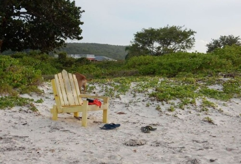پانسیون Coral Turtle