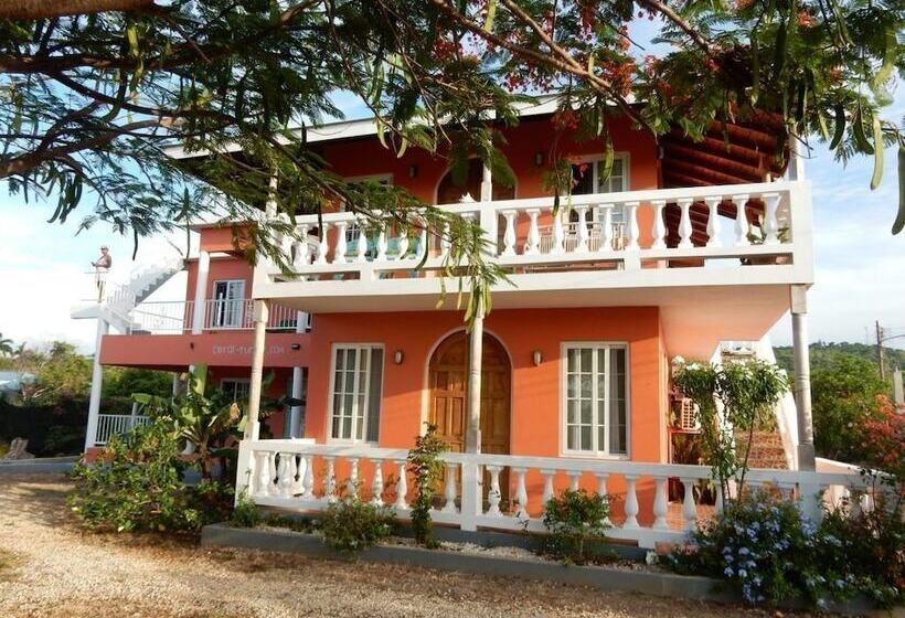 پانسیون Coral Turtle