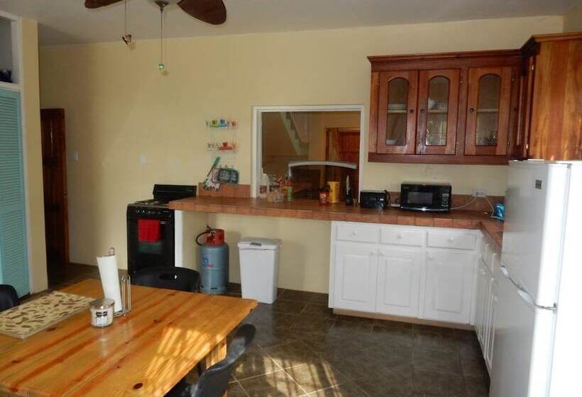 پانسیون Coral Turtle