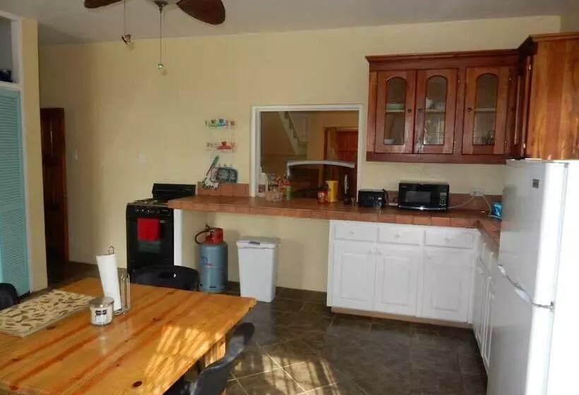 پانسیون Coral Turtle