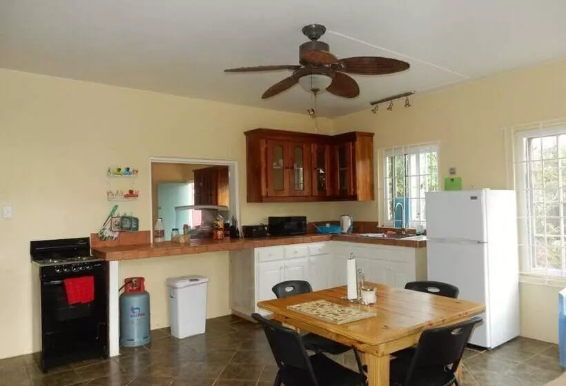 پانسیون Coral Turtle