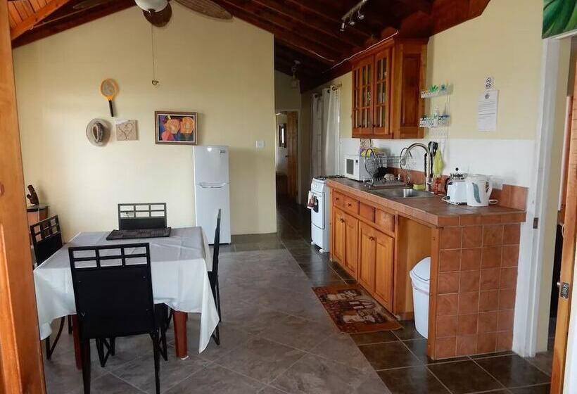 پانسیون Coral Turtle