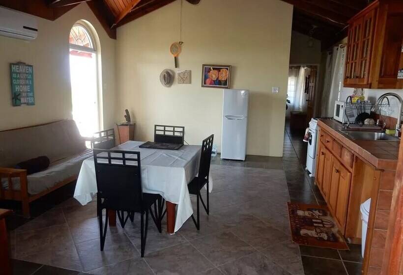 پانسیون Coral Turtle