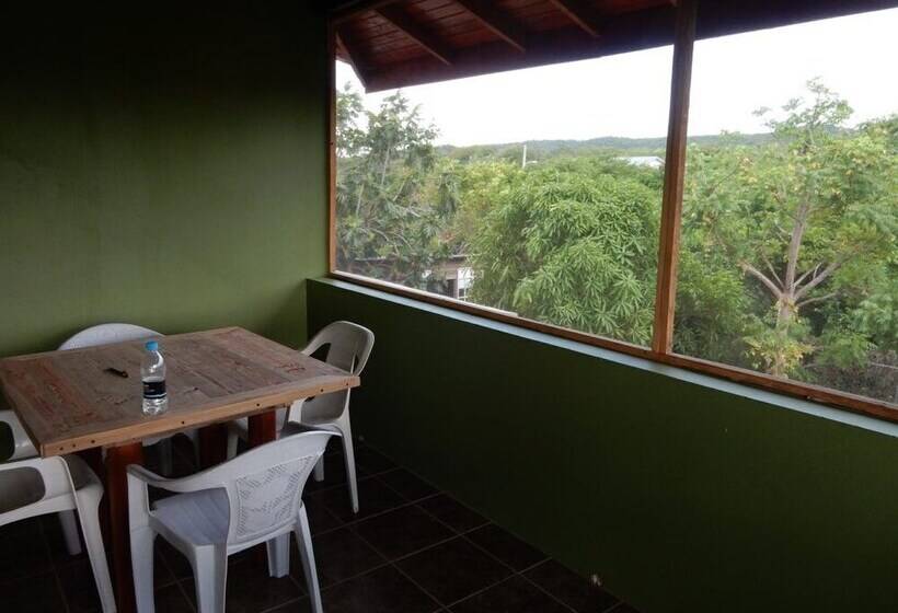 پانسیون Coral Turtle