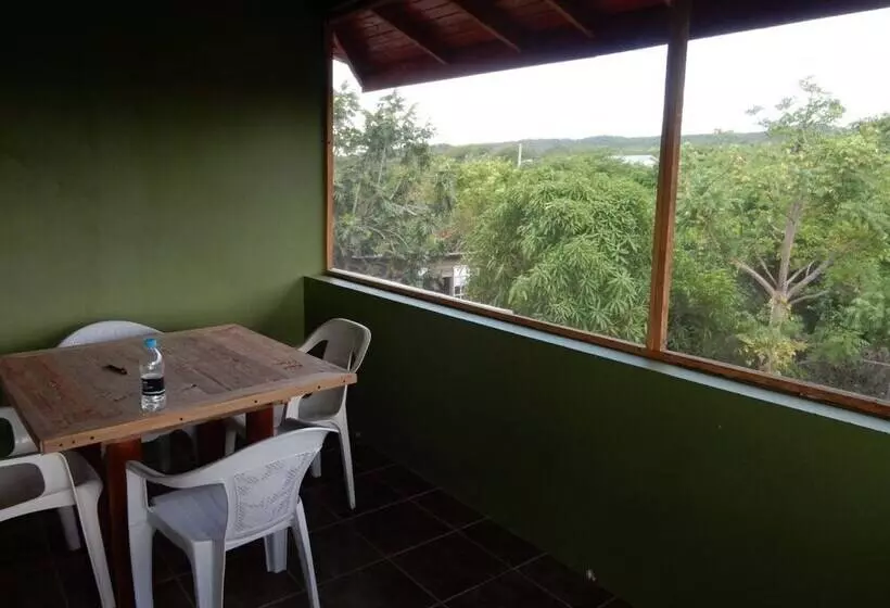 پانسیون Coral Turtle