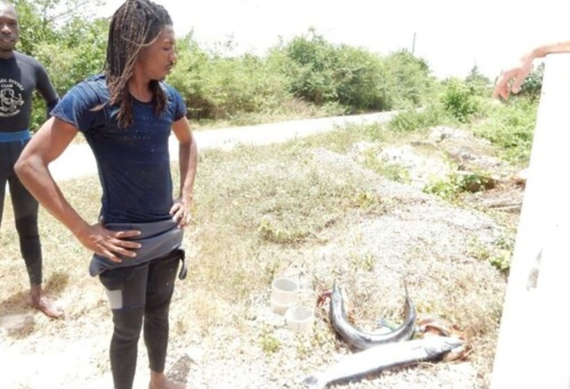 پانسیون Coral Turtle