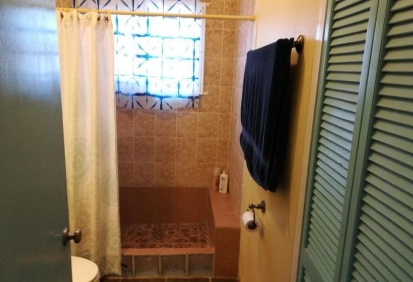 پانسیون Coral Turtle