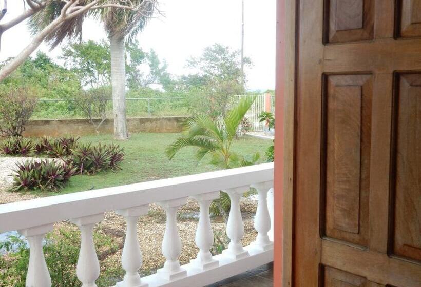 پانسیون Coral Turtle