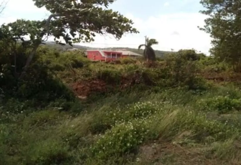 پانسیون Coral Turtle