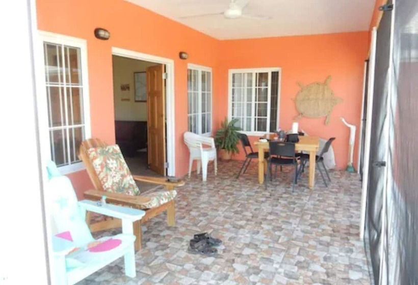 پانسیون Coral Turtle