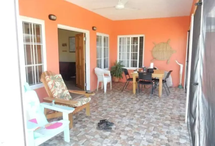 پانسیون Coral Turtle