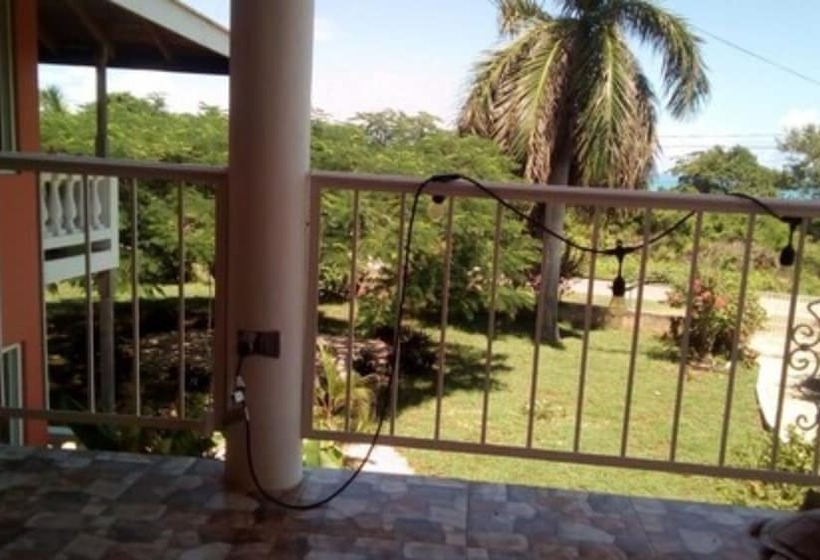 پانسیون Coral Turtle