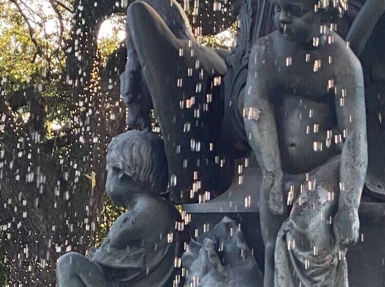 Bed and Breakfast The King S Daughters B And B On The Bluff Overlooking The Mighty Mississippi