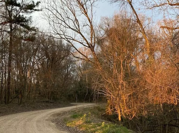 Aamiaismajoitus (B&B) The King S Daughters B And B On The Bluff Overlooking The Mighty Mississippi