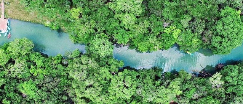 5 Son S Geronimo Birdhouse Cabin