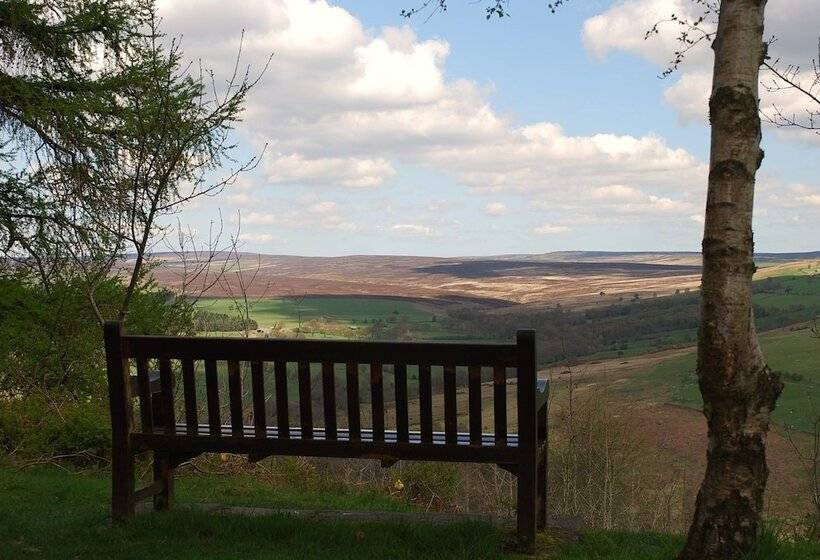 بنسيون Carlton Lodge