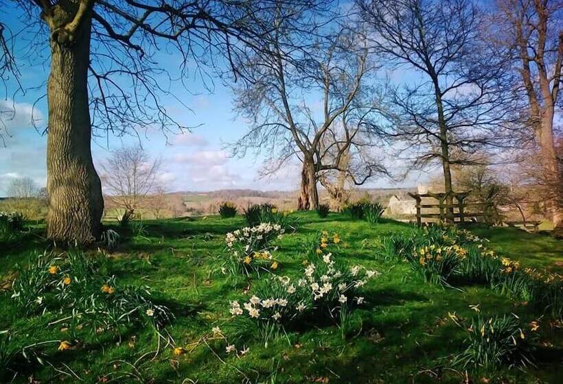 بنسيون Carlton Lodge