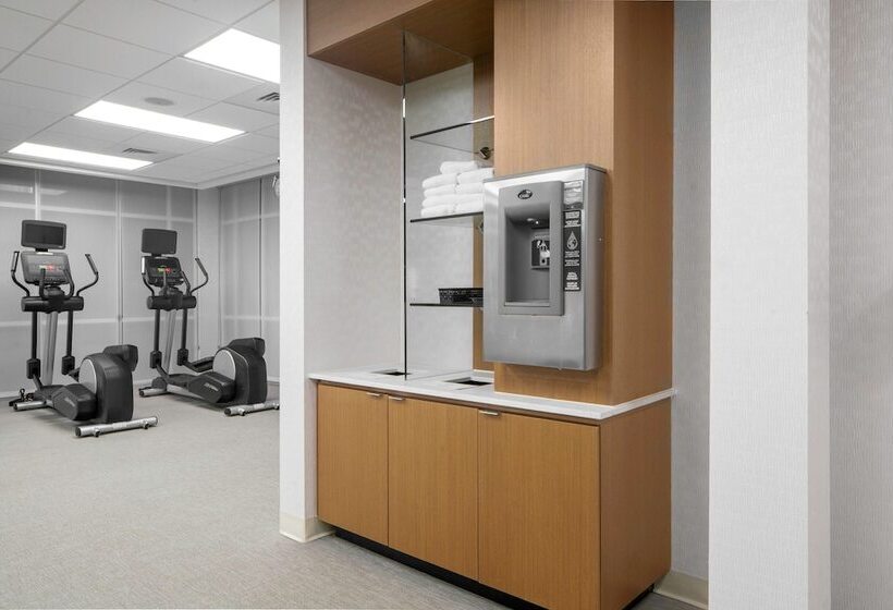 Hotel Springhill Suites By Marriott Raleigh Apex