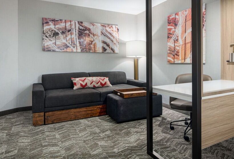 Hotel Springhill Suites By Marriott Raleigh Apex