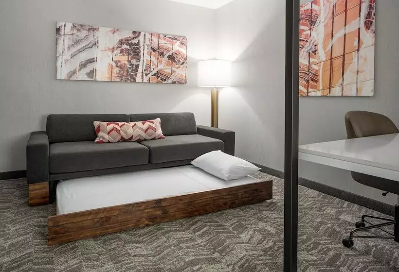 ホテル Springhill Suites By Marriott Raleigh Apex