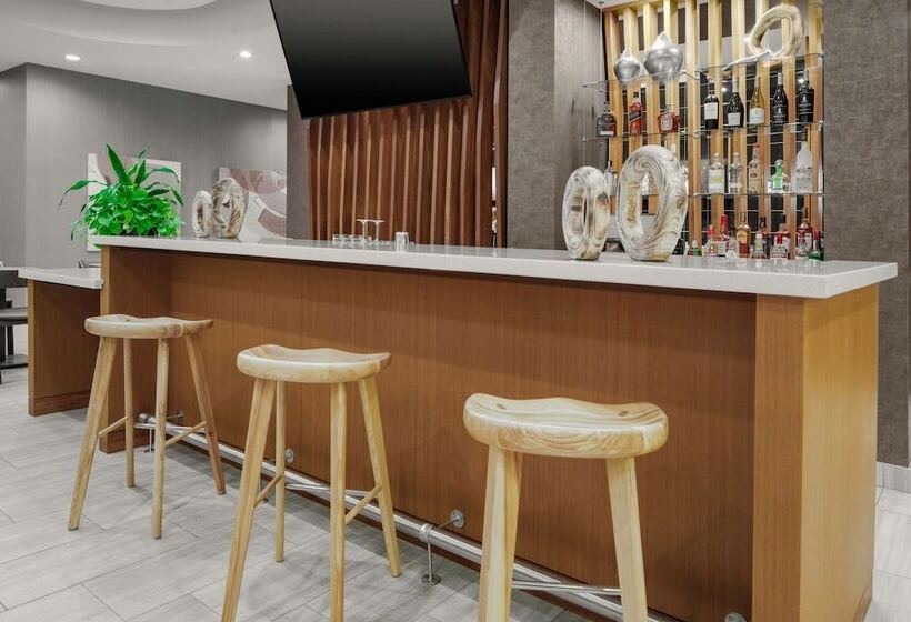 Hotel Springhill Suites By Marriott Raleigh Apex