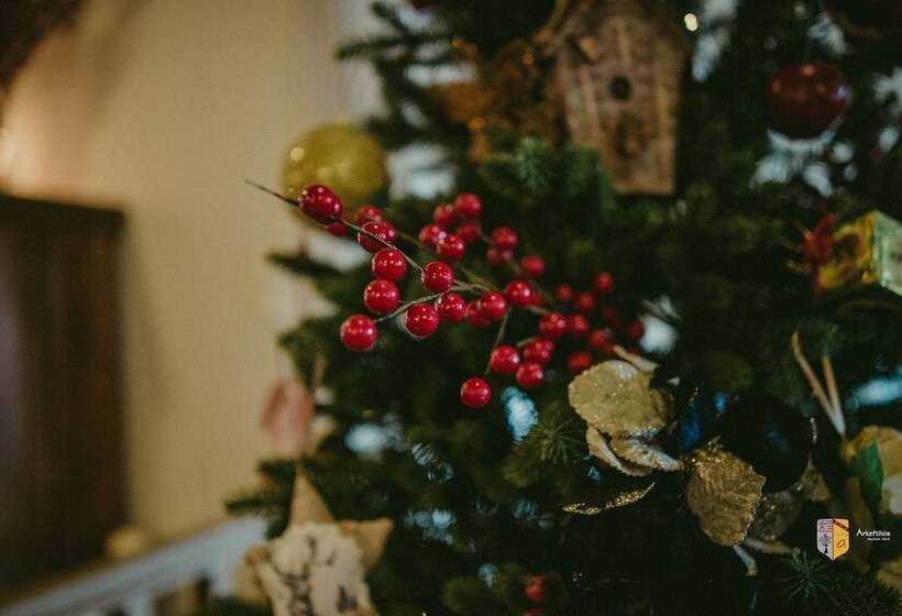 酒店 Arkefthos Mountain