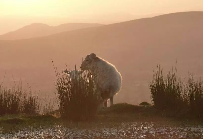 Nest Holiday Hideaway Wren Cottage Stunning Area!