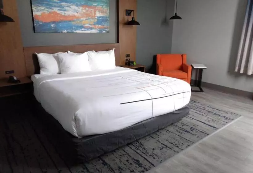 ホテル La Quinta Inn & Suites By Wyndham Bardstown