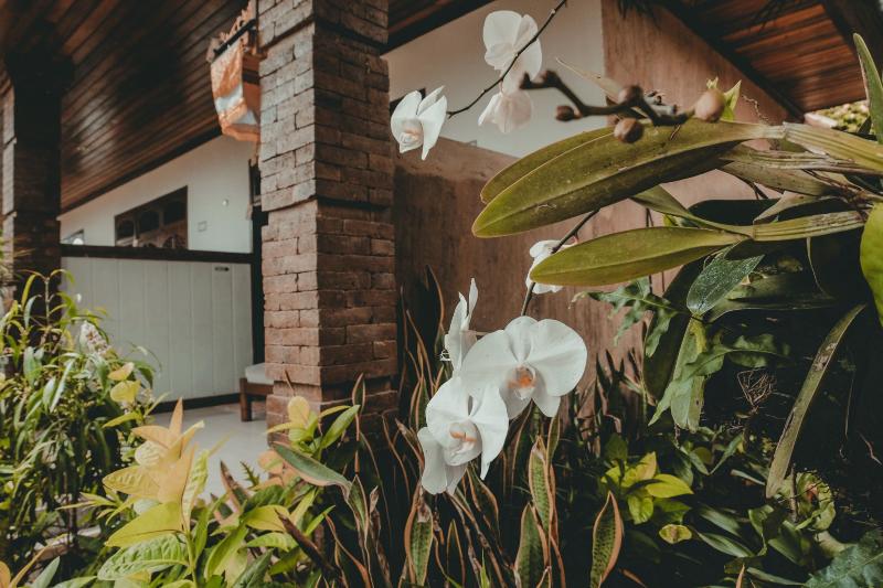 Otel Sekar Arum Riverside Resort In Canggu