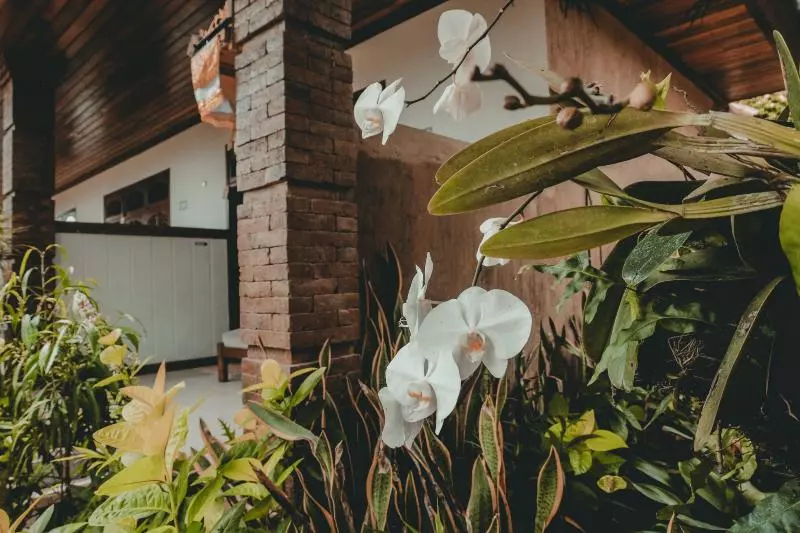 ホテル Sekar Arum Riverside Resort In Canggu