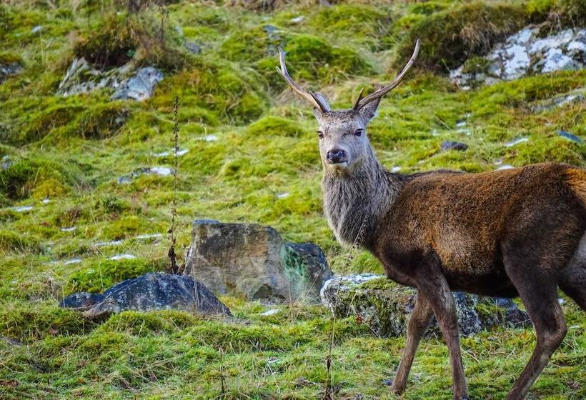 酒店 West Horizon Holiday Lodge, Beach 3 Minutes Walk